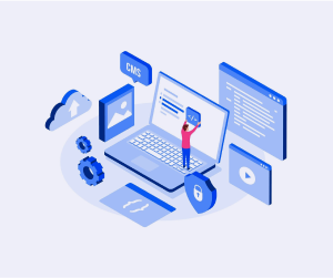 Full-Stack Web Application Development